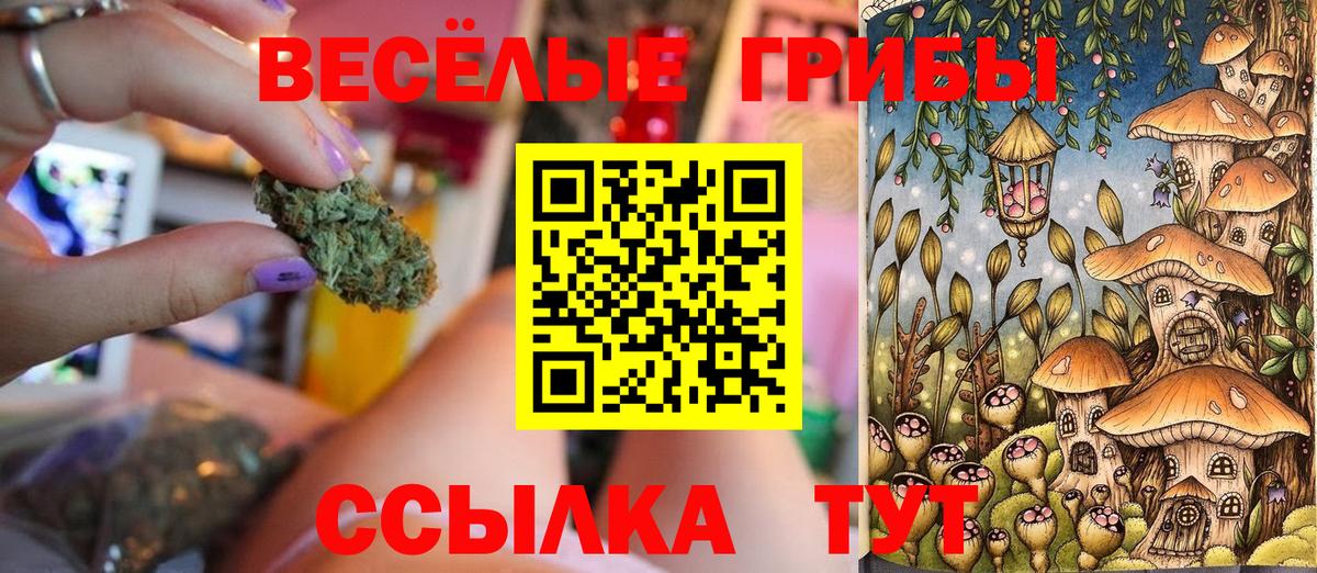 Псилоцибиновые грибы мухоморы Чебаркуль