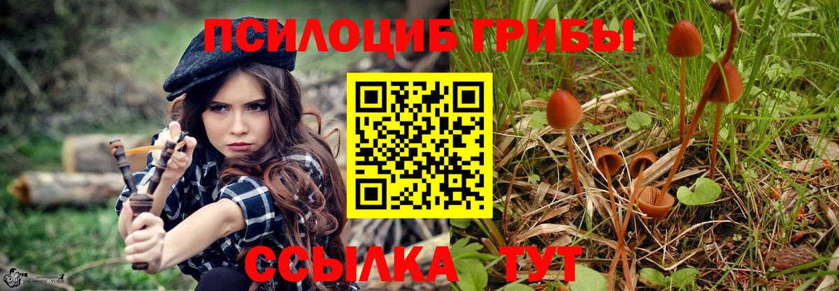 Галлюциногенные грибы мухоморы  Вход с VPN  Псилоцибиновые грибы Cubensis  Чебаркуль 
